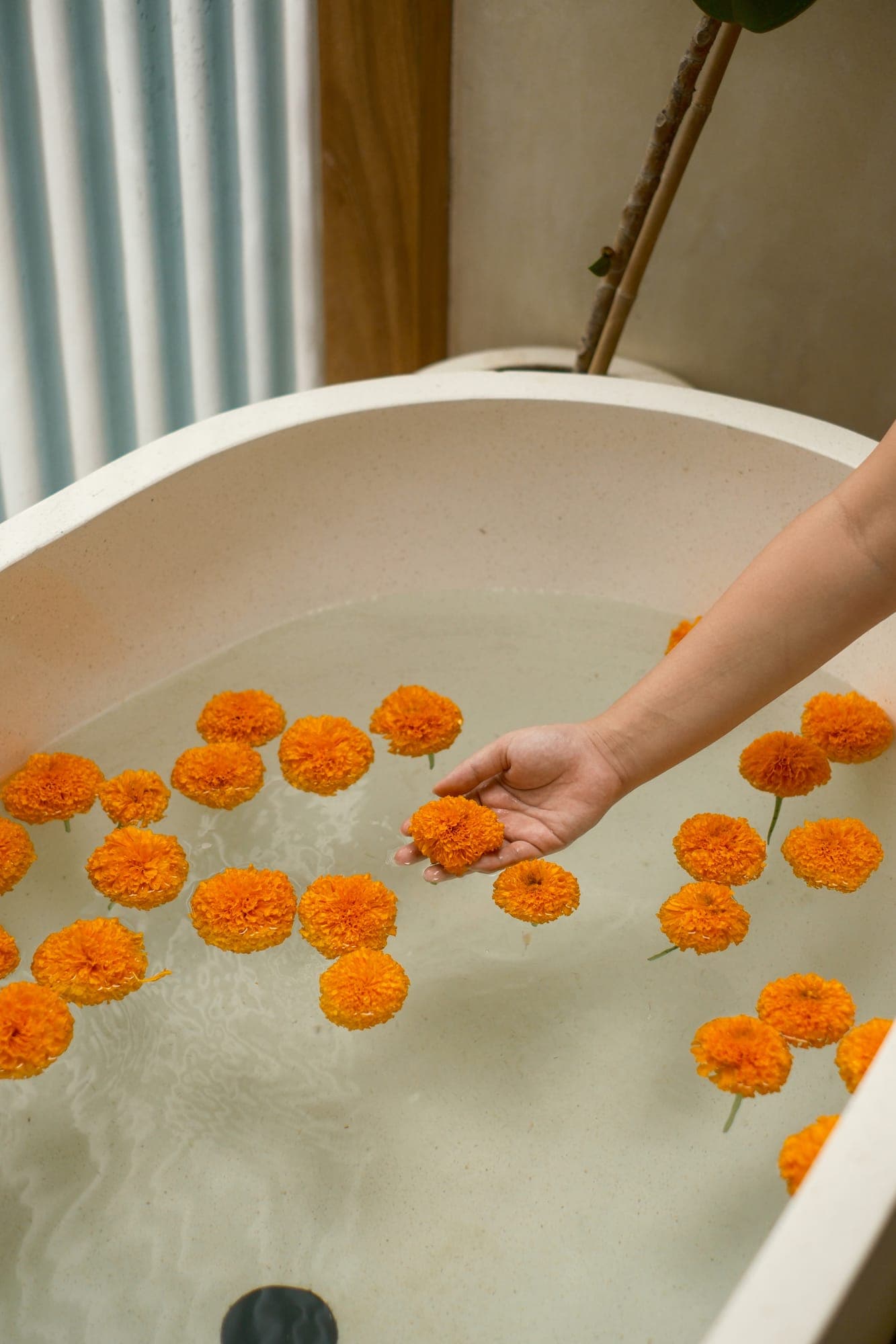Marigolds floating in a bath at Akela Villas