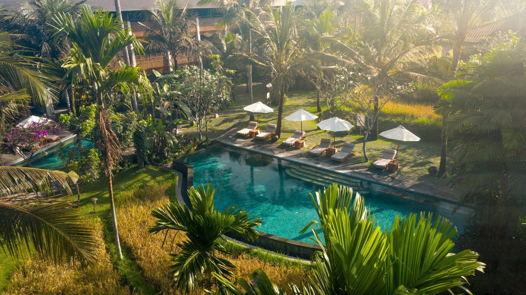 Aerial view of the Alaya resort pool and gardens in soft morning light