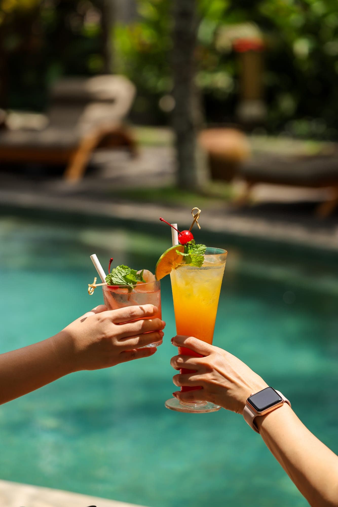 Guests clinking cocktails by the pool at Alaya