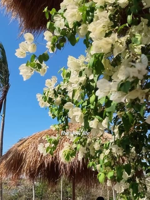 Akela Villas Instagram post from 2026-10-08
