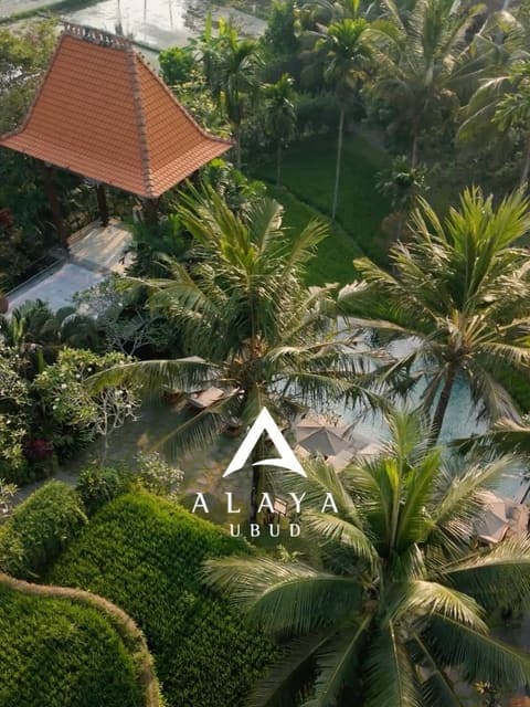 Alaya Hotels Instagram post from 2026-10-15